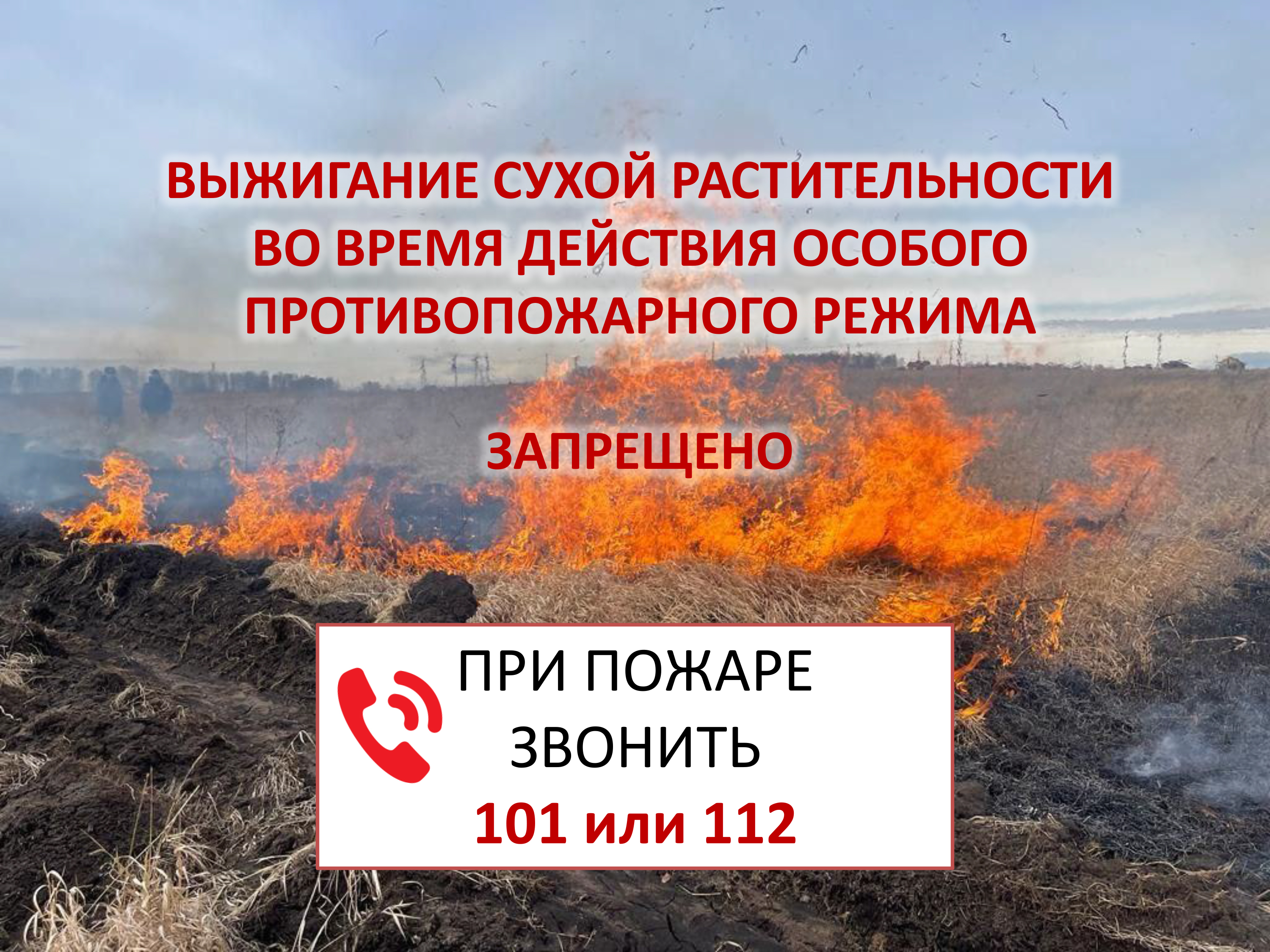 Особый противопожарный режим: Условия введения, периоды действия,  штрафы за нарушения требований.