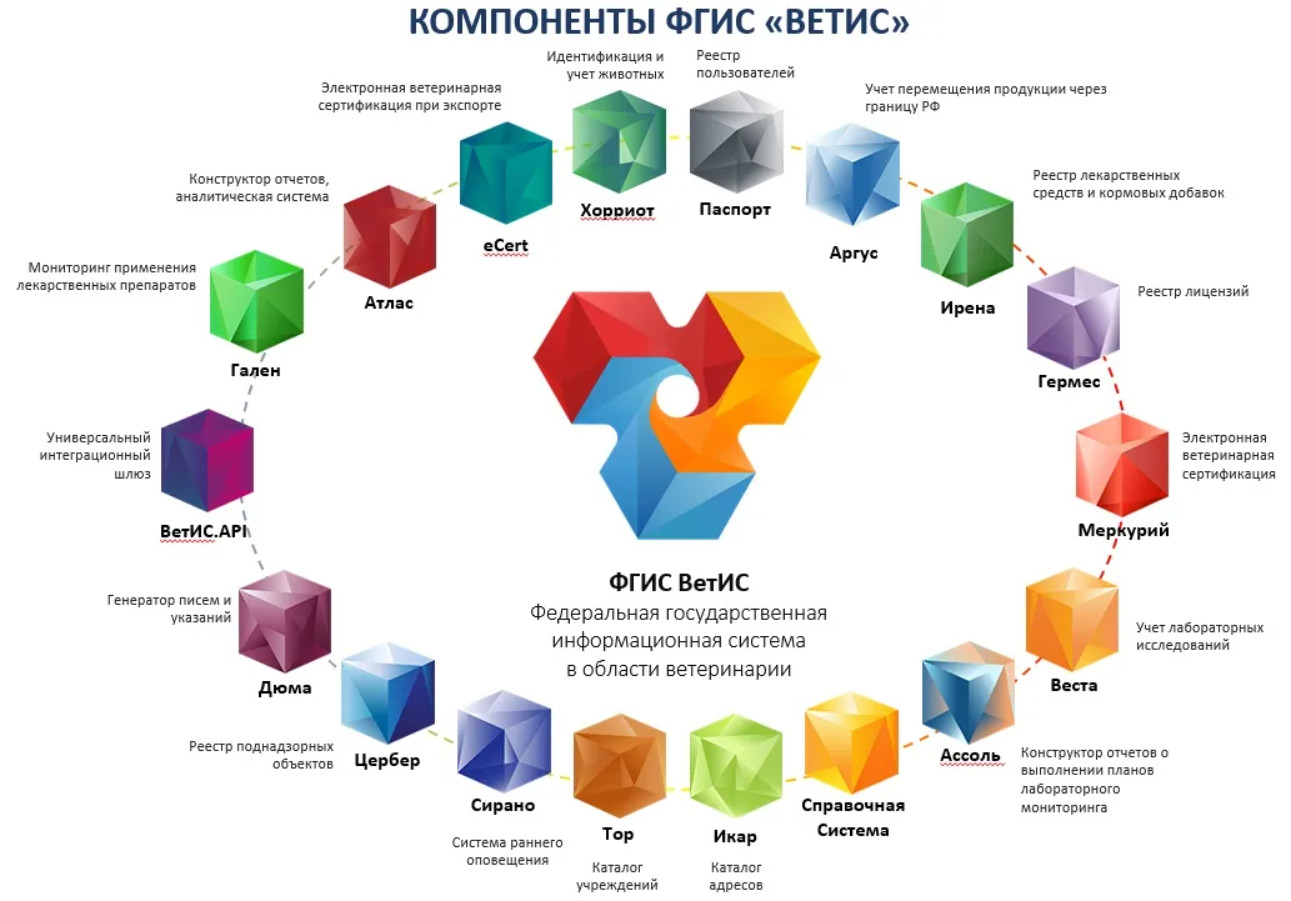 Фгис рот. Схема процессов реализации функций Ветис. ФГИС Ветис Пермь. Сколько частей в Ветис. Ответственные операторы системы, пользователи, регионы Ветис.