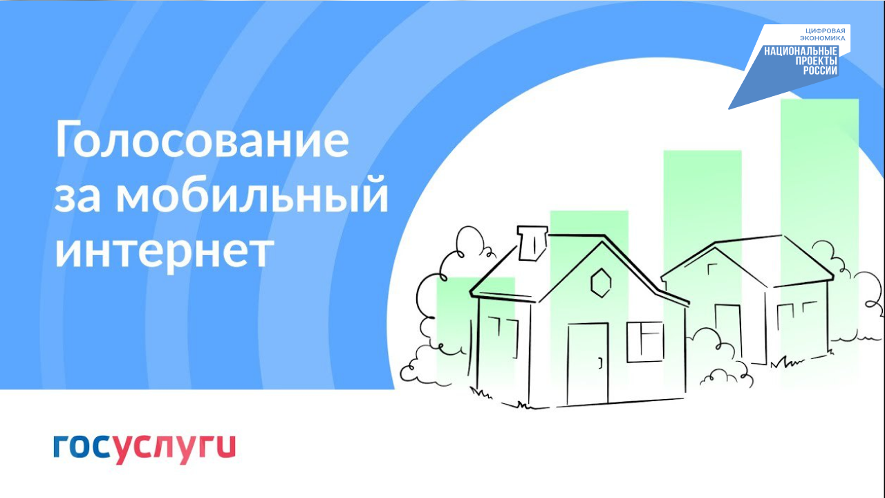 Куряне могут проголосовать за подключение сел и деревень к интернету в 2024 году.