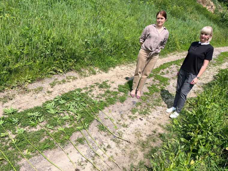 В рамках операции «Время Независимых». В рамках операции «Время Независимых».